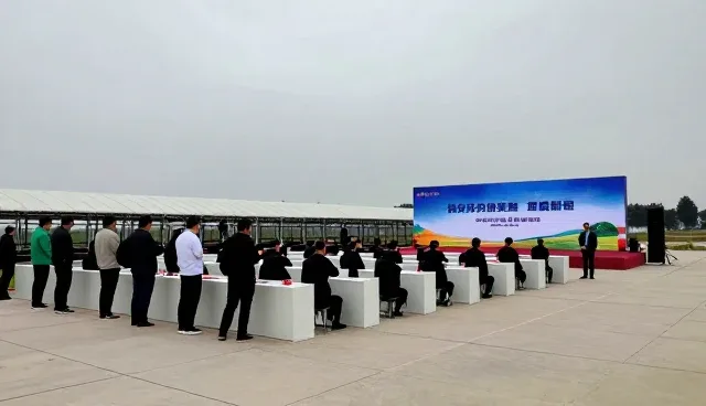 账号代运营中的影视策划应用与限制